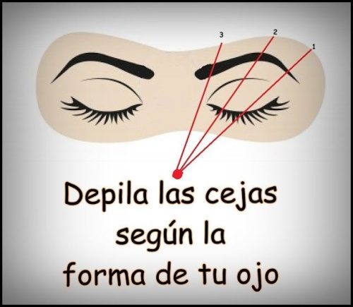 depilar las cejas según la forma de tu ojo.