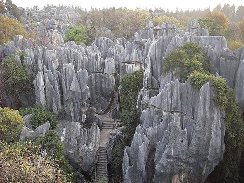 bosque de piedra china