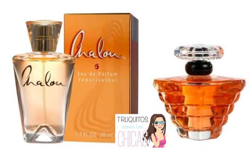 Chalou naranja es el clon de Tresor de Lancome
