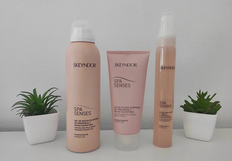 cofre Ritual Spa Senses de Skeyndor